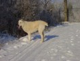 /album/fotogaleria/mix-139-jpg/